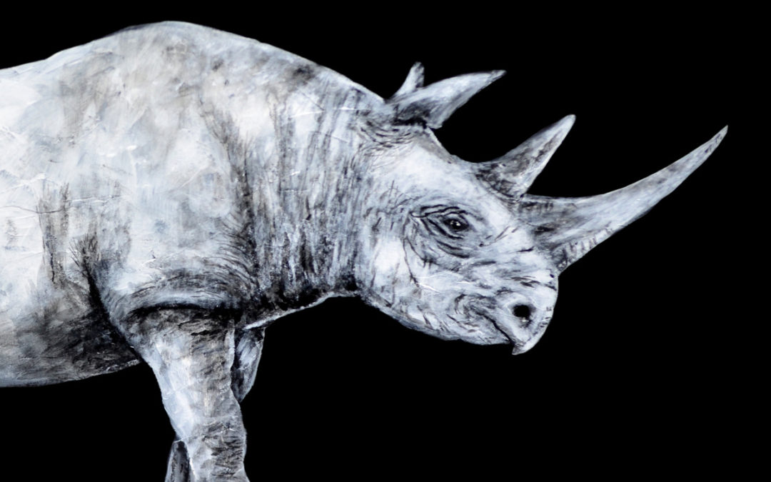 BoneHawk “Albino Rhino” Album Review