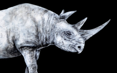 BoneHawk “Albino Rhino” Album Review