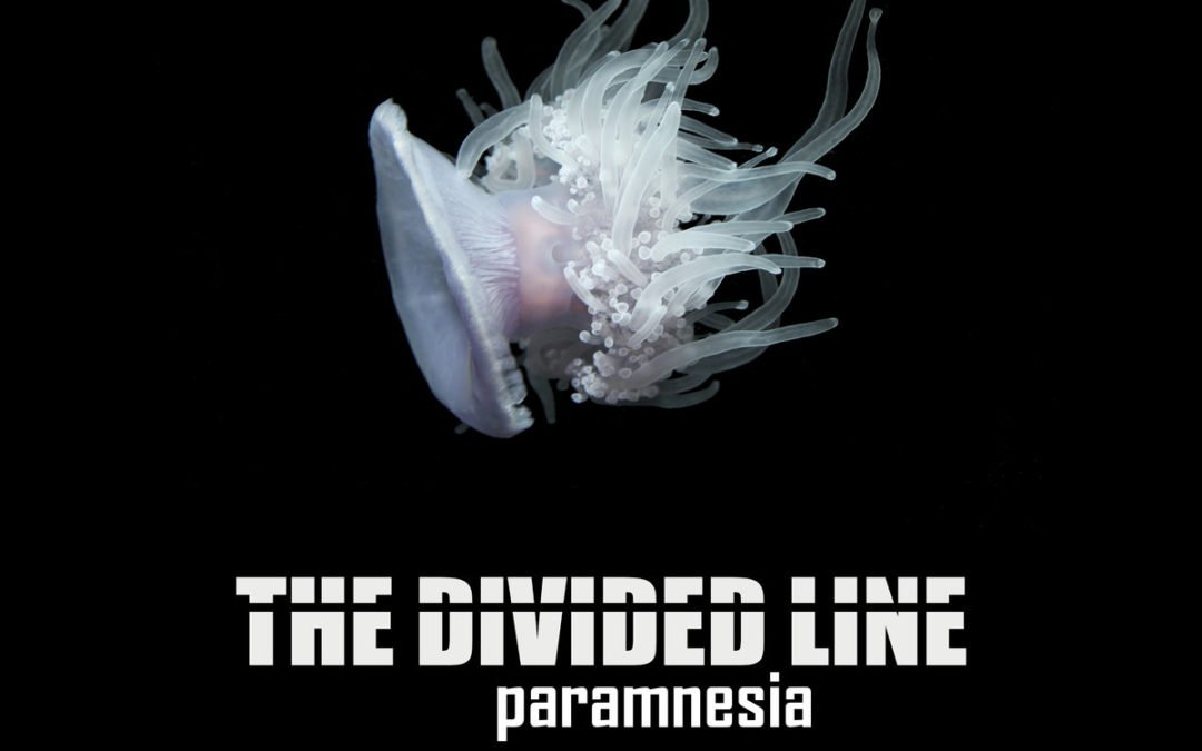 The Divided Line – Paramnesia