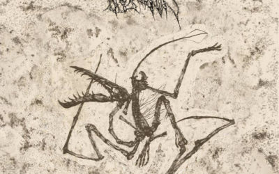 Thecodontion – Jurassic