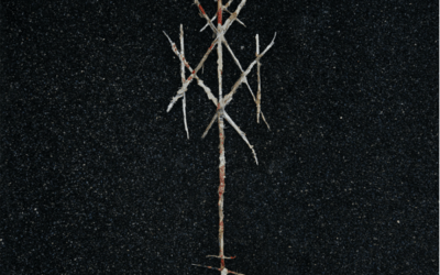 Wiegedood – There’s Always Blood At The End Of The Road