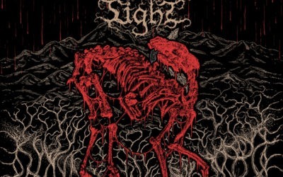 EXCLUSIVE TRACK PREMIERE: Feral Light – Enveloped and Transformed