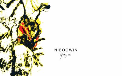 Niboowin – giving in (Review + Interview)
