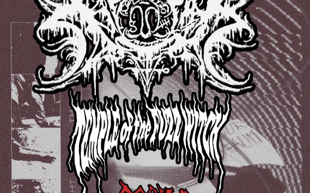 Xasthur show in Detroit MI